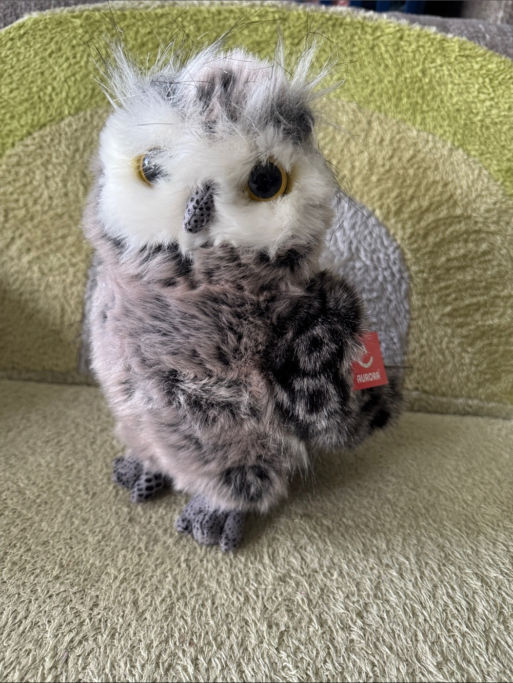 Aurora Owl - Great Horned - Barney